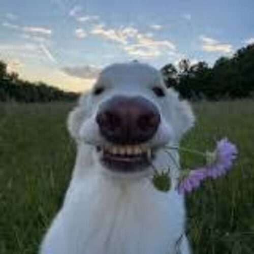 Foto extra 1