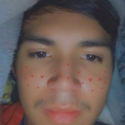 Diego m