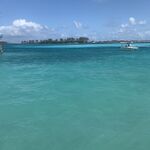 Reef