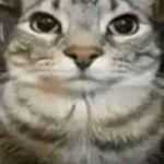 Hubert