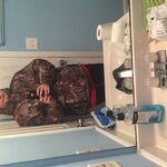 Brandon