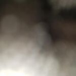 Samefrog1 
