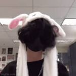 Zorex - roblox username