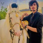 Arslan