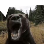 Josiah Freytes - telegram username