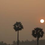 Sree - instagram username