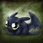 toothlessloverxx
