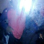 Saqqz