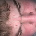 Seth - roblox username