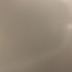 1025534dogs