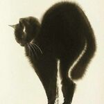 Addme