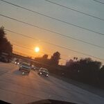 Marina_C