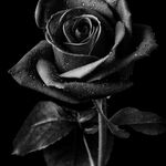 Juan_jose17