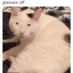 Dan