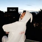 Reegan_kn
