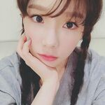 tiptoptae