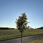 Sam - instagram username