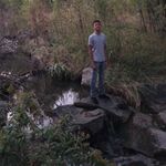 tribunipraefect