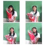 Arcel