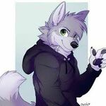 NoahSparksWolf44