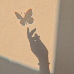 shadowqueen