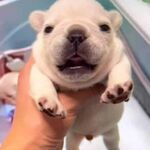 Isa - instagram username