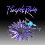 Purple Rain