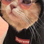 Eddie