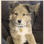 Judah