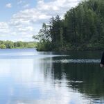 Thomas_fishes