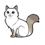 neko akuma