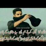 Shah 