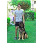Marwan zein