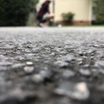 Camdog2346