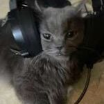 Hunter - telegram username
