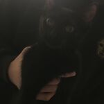 Your guy - instagram username