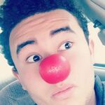 Sylvester_ula