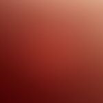 Jake - telegram username