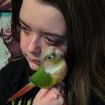 Kaylee_wilson
