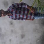 Shanty