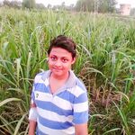 Ujain