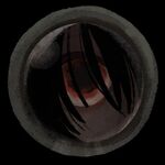 Darius - discord username