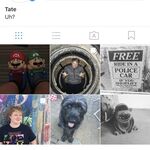 Tate 