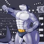 cctiger