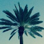 Lenard  - instagram username