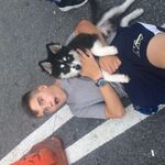 Jdog/villiani 