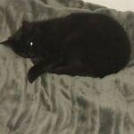 Logan - kik username