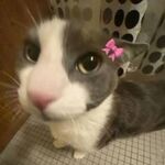 :3