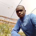Jotham