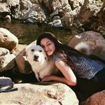 dfox228